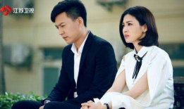 前夫电视剧,爱恨纠葛的复仇之路